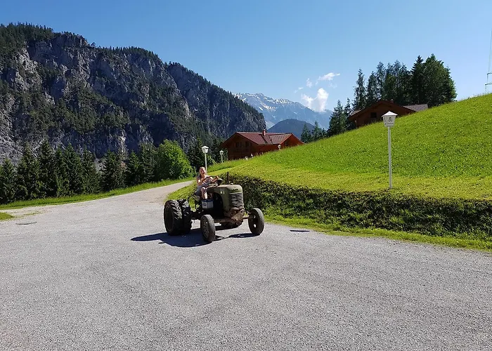 Penzion Alpengasthof Draxler Forstau (Salzburg)